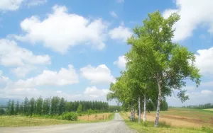 公路风景素材图片