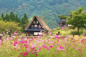 度假风景素材图片
