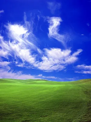 天空草地风景图片