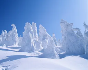 美丽风景图片