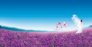 花海风景图片下载_1