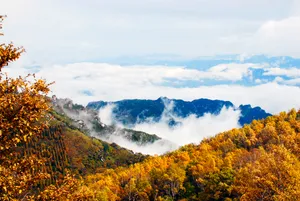深山风景图片下载