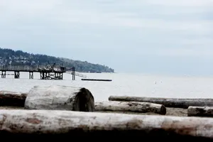 海滩木材图片_1