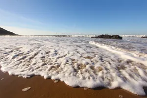 海滩泡沫图片_1