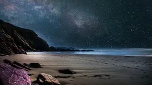 夜晚海滩风景图片_1