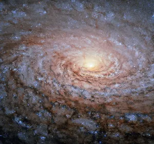 向日葵星系图片第1张