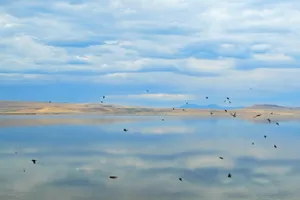 大盐湖图片