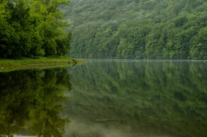 丛林里的湖泊风景图片_1