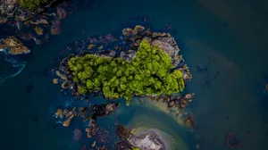 唯美大海风景图片_5