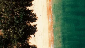 美丽的海岸线风景图片_12