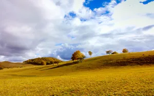 乌兰布统草原风景图片_6