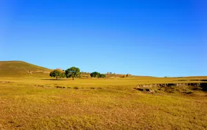乌兰布统草原风景图片_10