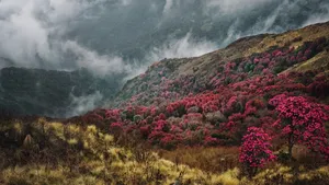 尼泊尔喜马拉雅山风景图片_8