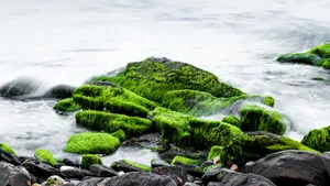 唯美海边岩石图片_2