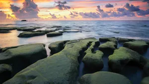 唯美海边岩石图片_9