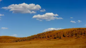 内蒙古坝上草原秋季风景_5