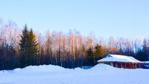 长白山雪景风景图片_7
