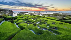 护眼风景壁纸图片大全_5
