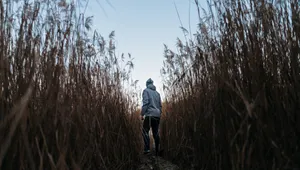 人与自然图片_10