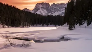 唯美雪景图片大全_11