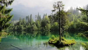 风景优美的湖泊图片_9
