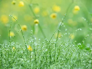 山花烂漫 第三辑_11
