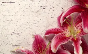 鲜花合集 第九辑_18