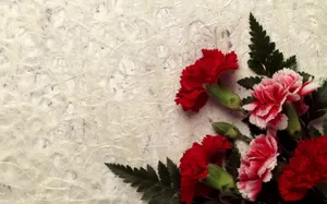 鲜花合集 第九辑_19