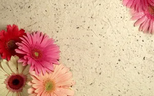 鲜花合集 第八辑_19