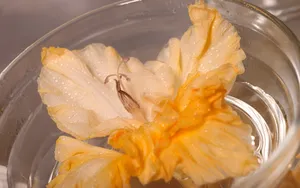 超大鲜花特写 第六辑_10