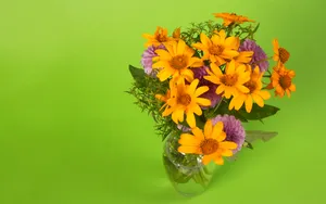超大鲜花特写 第四辑_13