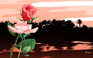国家与鲜花 第二辑