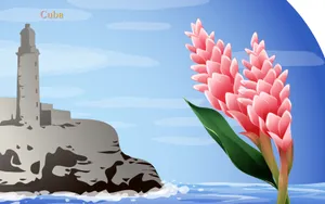 国家与鲜花 第二辑_3