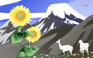 国家与鲜花 第二辑_7