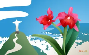 国家与鲜花 第二辑_9