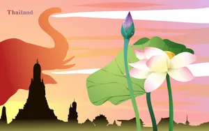 国家与鲜花 第二辑_15