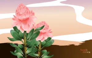 国家与鲜花 第二辑_16