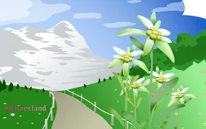 国家与鲜花 第一辑_2