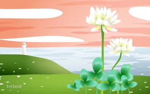 国家与鲜花 第一辑_11