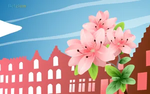 国家与鲜花 第一辑_13