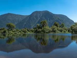 绿色森林湖泊图片_1