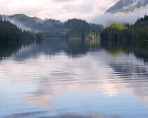 清晨湖泊树木风景图片_1