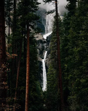 山林瀑布流水图片_1