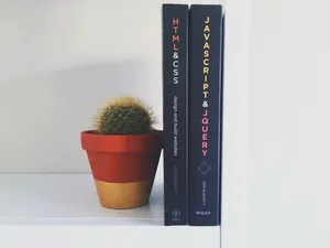 仙人球盆栽图片_1