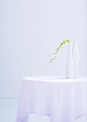 室内花朵