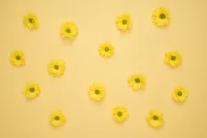 黄色小花黄色背景图片