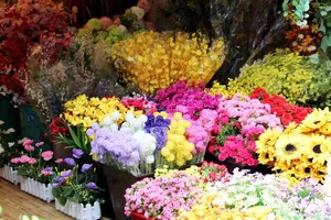 花店鲜花图片