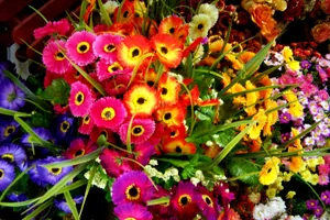 高清花篮图片下载第1张