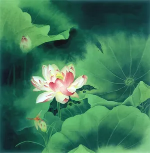 工笔荷花图片_1