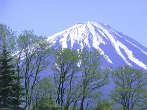 春天富士山图片